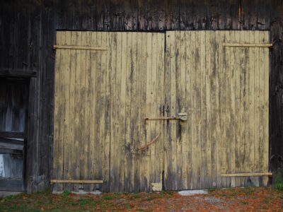 Garage door history- from then until now.